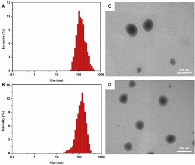 Targeting Fluorescence Imaging of RGD-Modified Indocyanine Green Micelles on Gastric Cancer